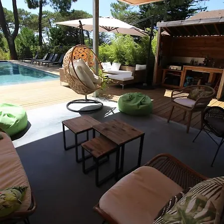 Apartament - A Pieds - Climatisee Piscine -